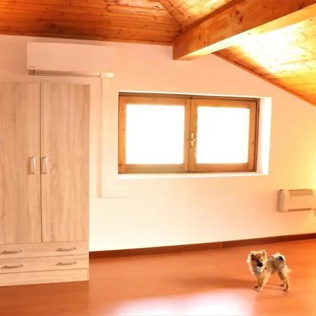 Haus